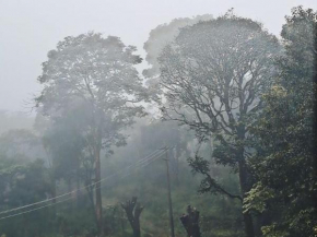 Homestay at Madikeri